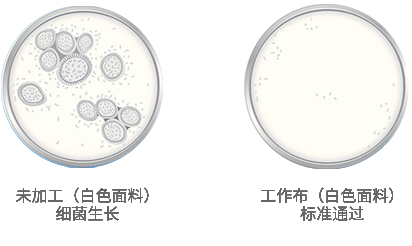 專業(yè)除甲醛